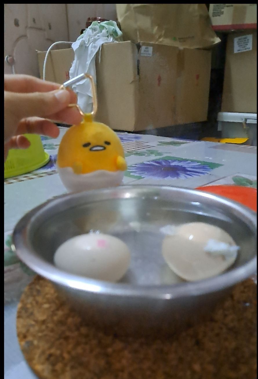 Egggor and its brothers&nbsp;🍳🐣