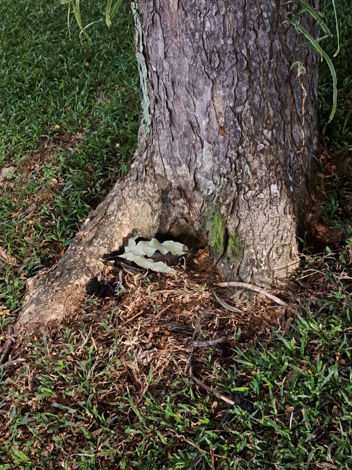 Goodbye & R.I.P.&nbsp;🐦‍⬛