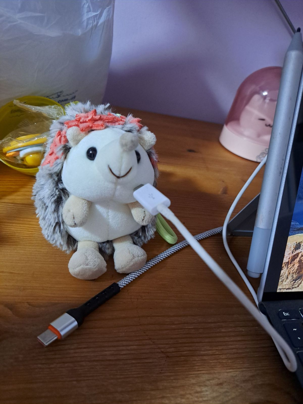 Mini pinepine is charging&nbsp;🔌🤎