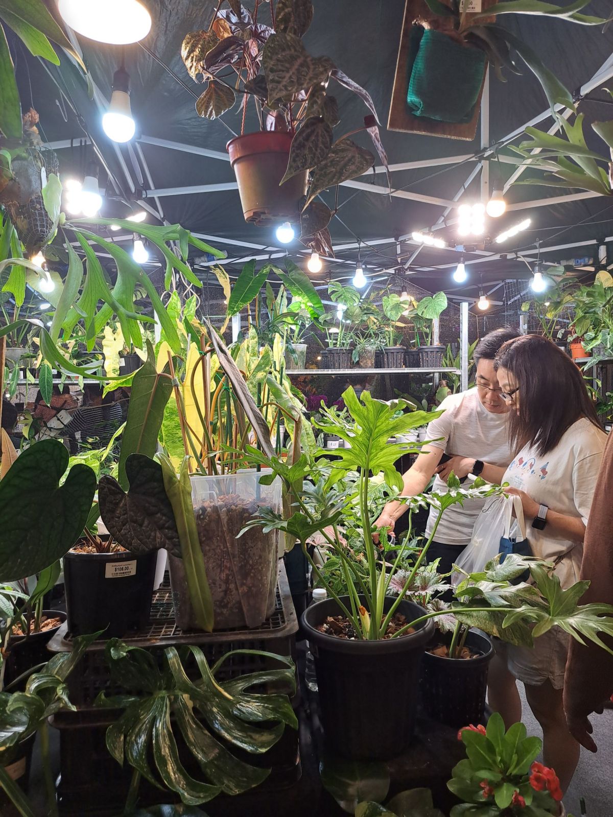 Planters Market x SGF (Singapore Garden Festival) 2026&nbsp;MarketPlace